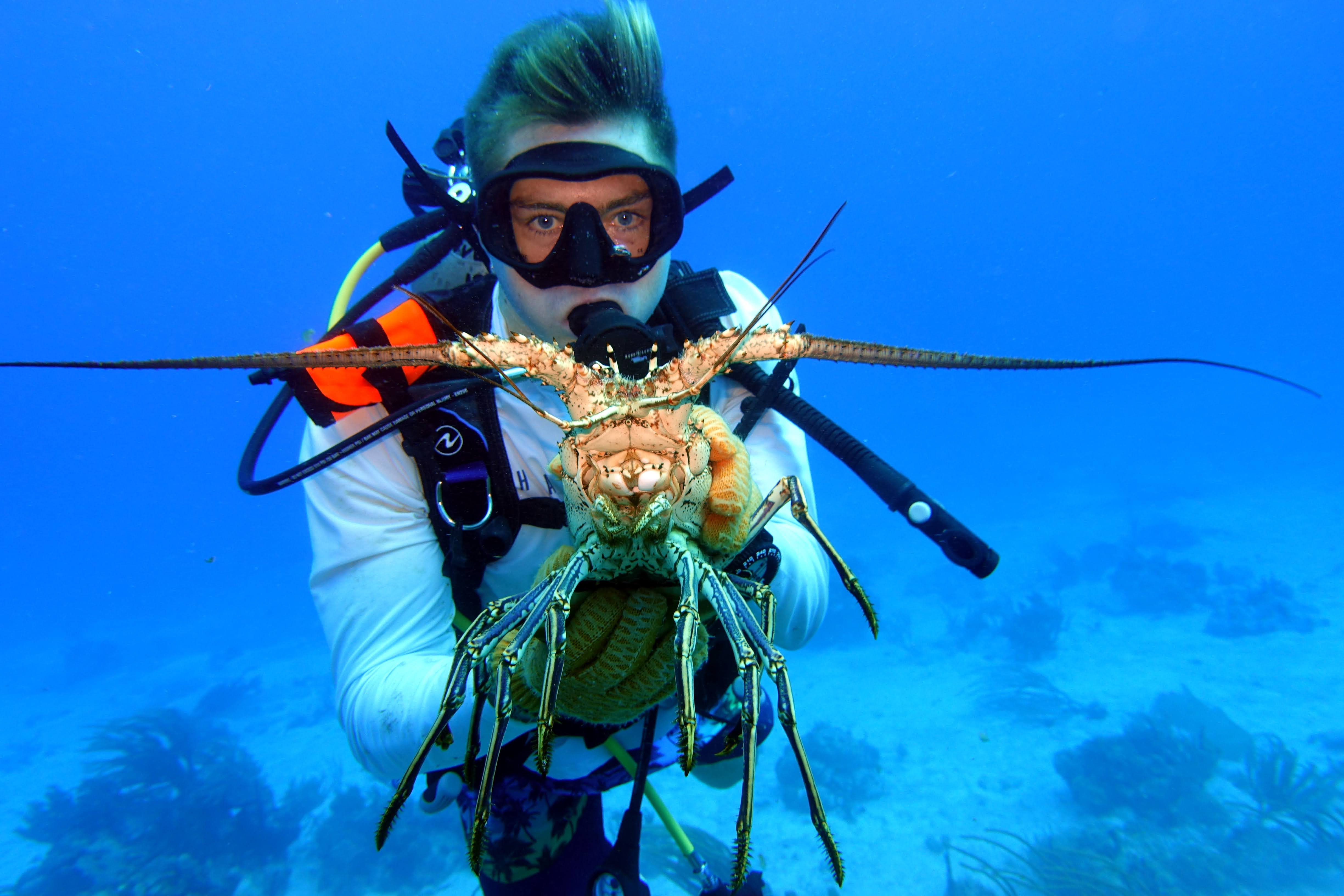Underwater photographer
